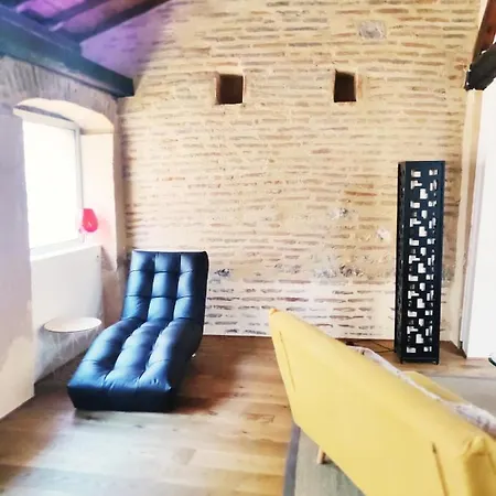 Apartmán Chez Fanny - Le Loft - Centre Historique Cathedrale