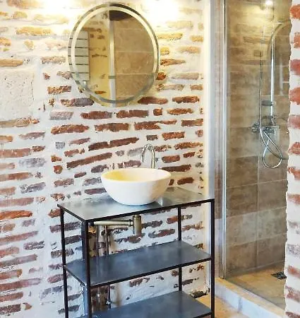 Apartment Chez Fanny - Le Loft - Centre Historique Cathedrale